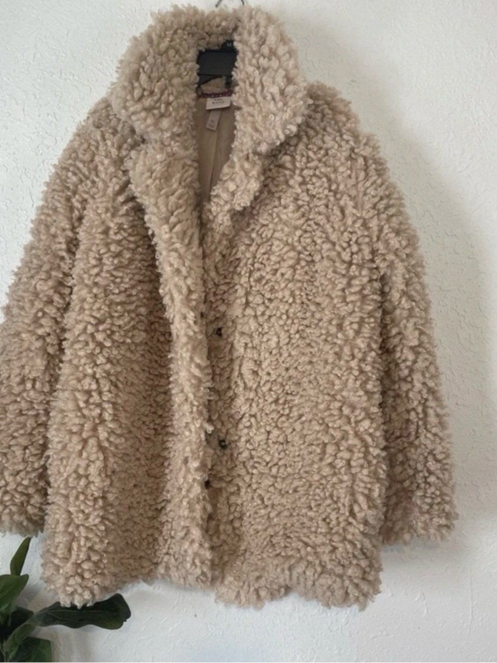 Knox Rose Cream Faux Shearling Coat with Curly Pile